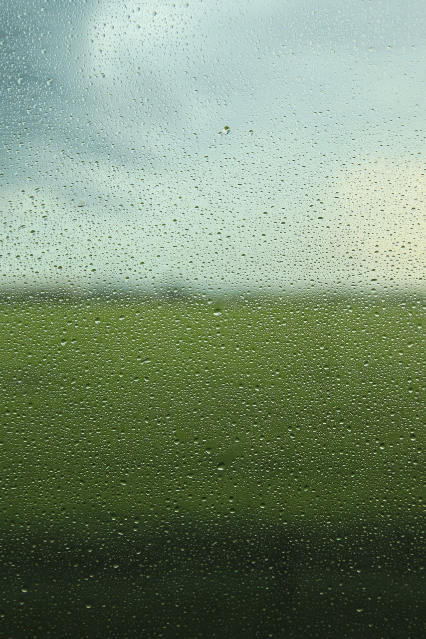 How to Make the Most of a Rainy Day