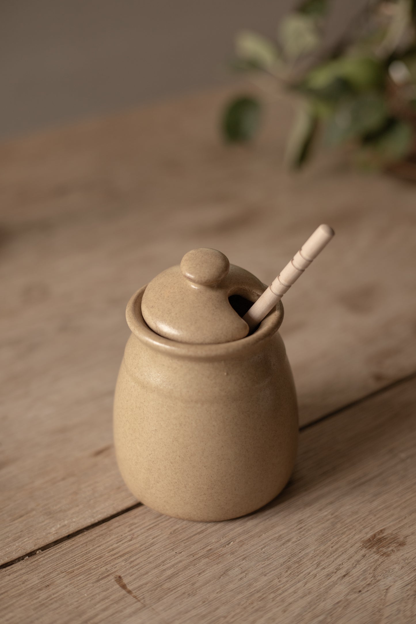 Honey Pot
