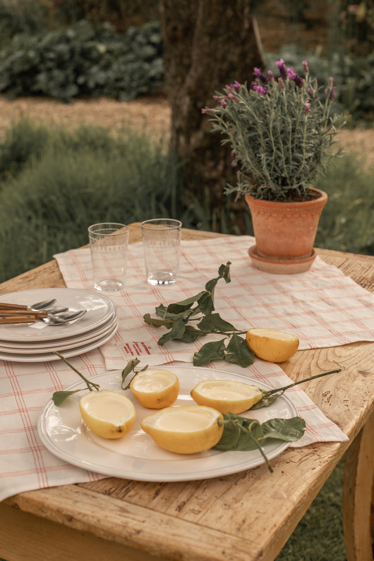 French Stripe Kitchen Cloth