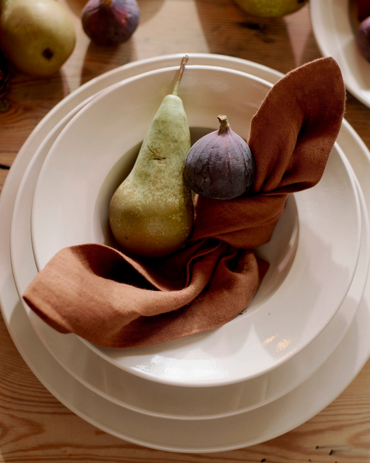 Nutmeg Napkins (Set of 2)