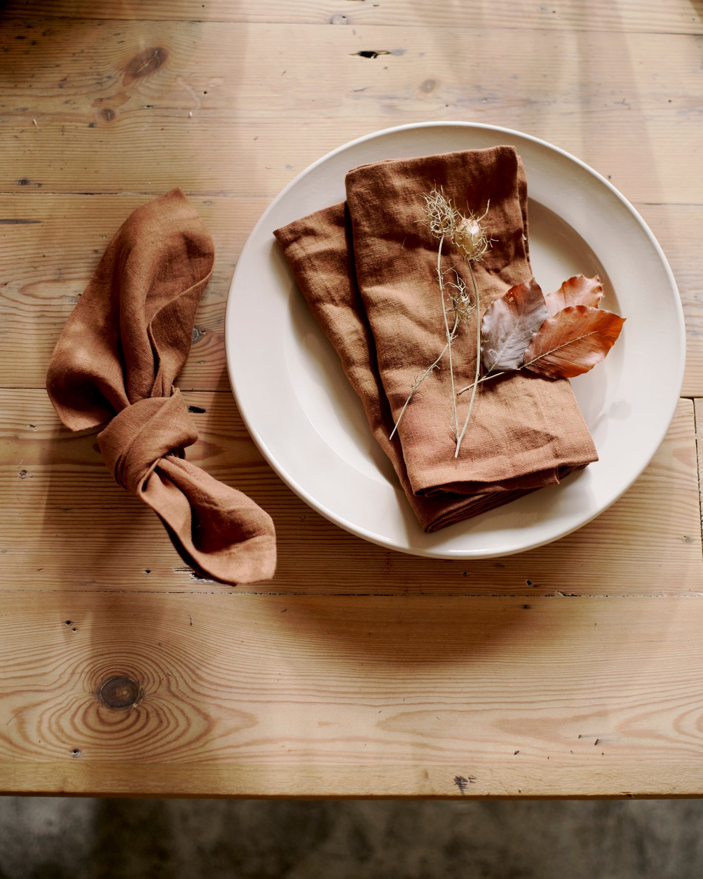 Nutmeg Napkins (Set of 2)