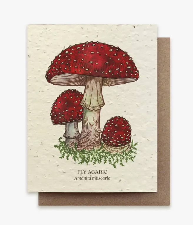 Mushroom Seed Card