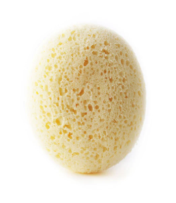 Pebble Sponge
