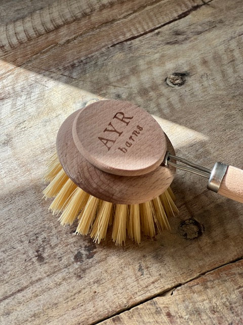 Beech dish replacement brush
